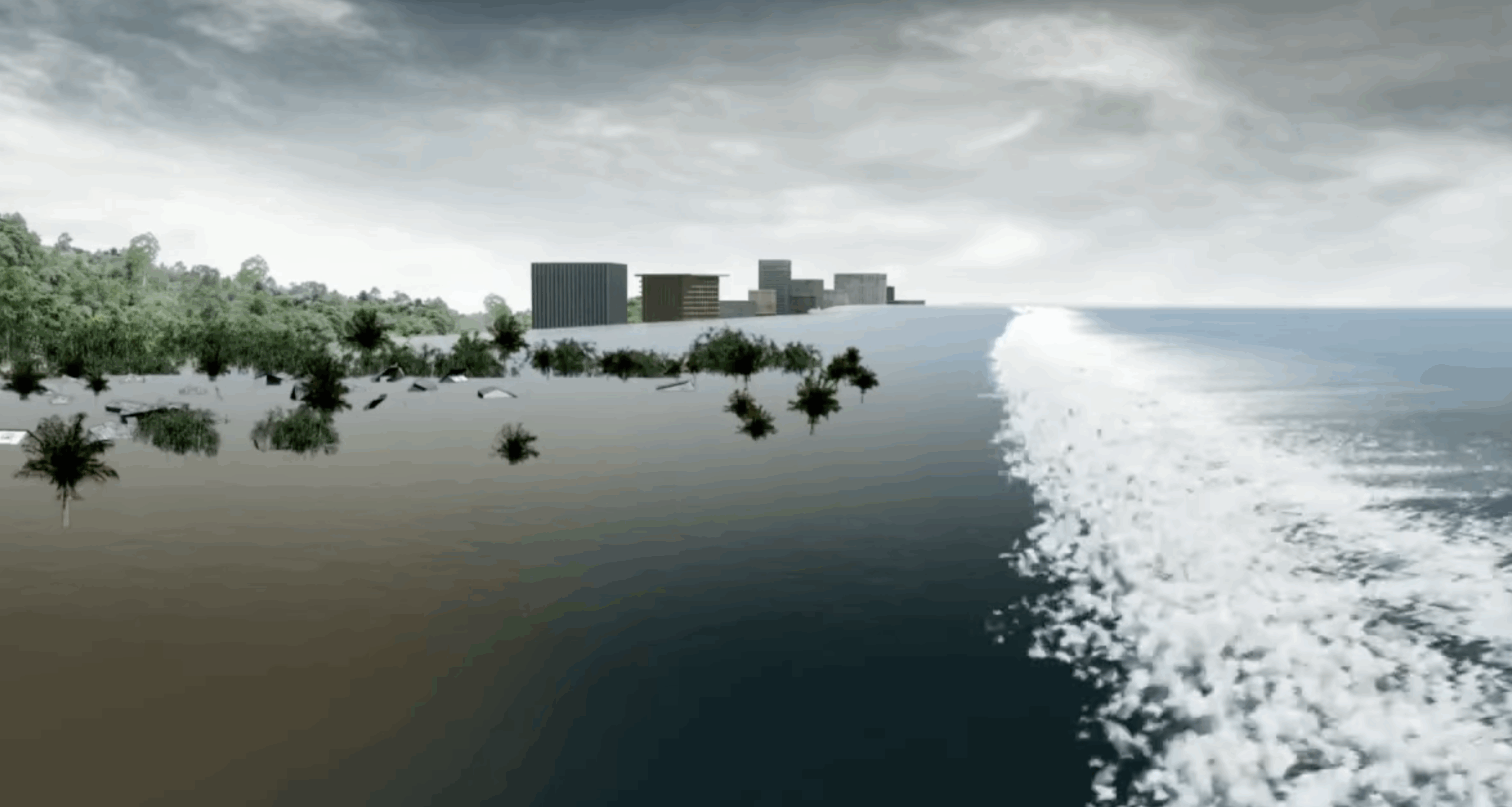 Interact with our Tsunami Wave Simulator