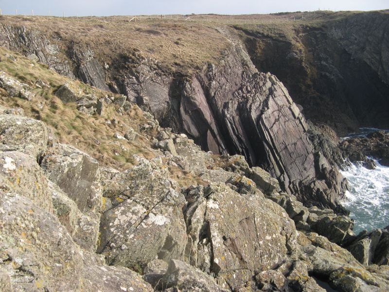 Rock Detective: Categorizing & Coloring Activity