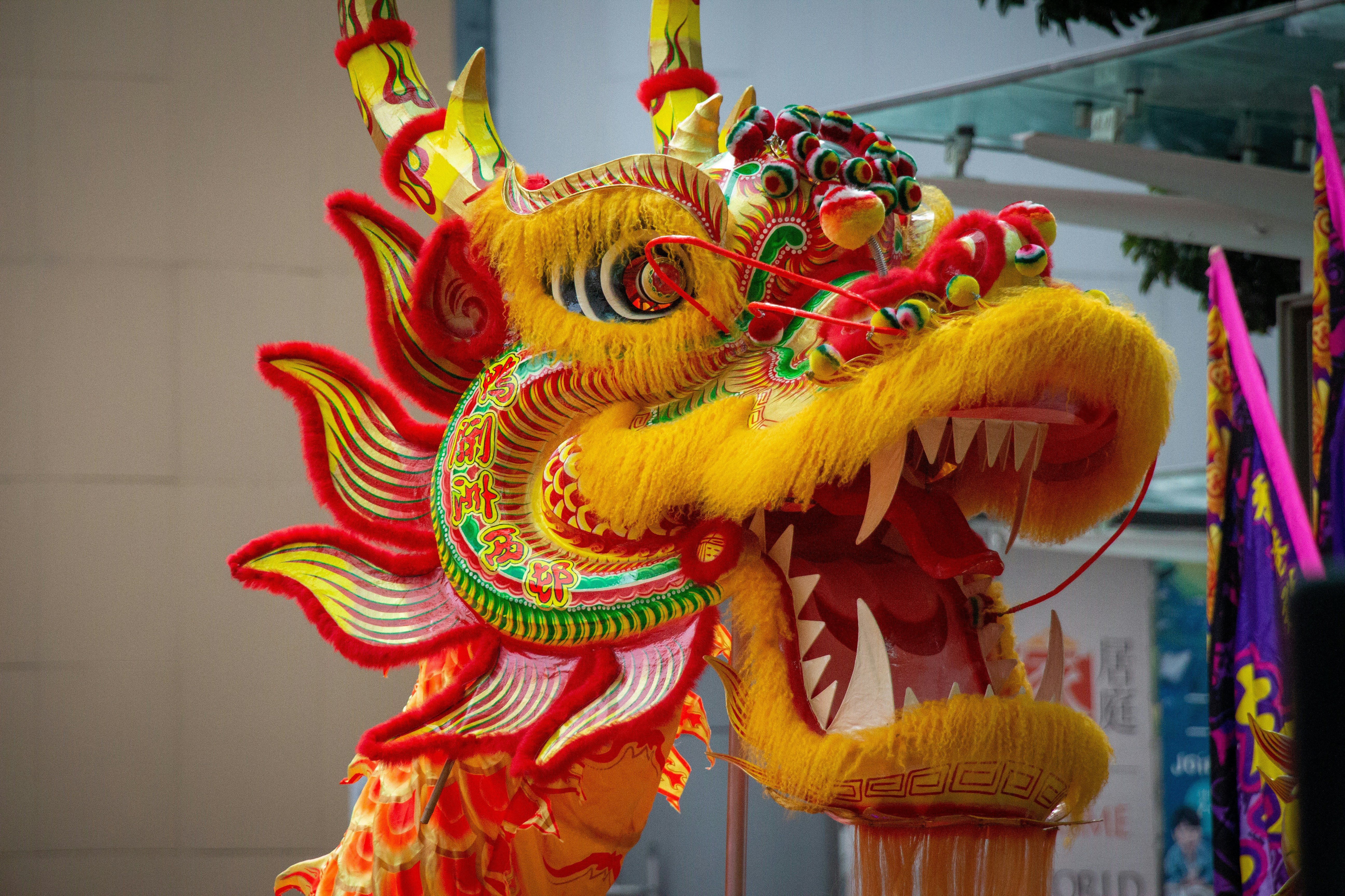 Spring Festival, Lunar New Year & Chinese New Year: A Guide for Educators