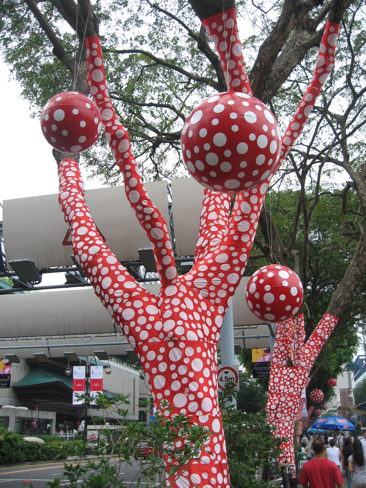 Polkadots on the Trees