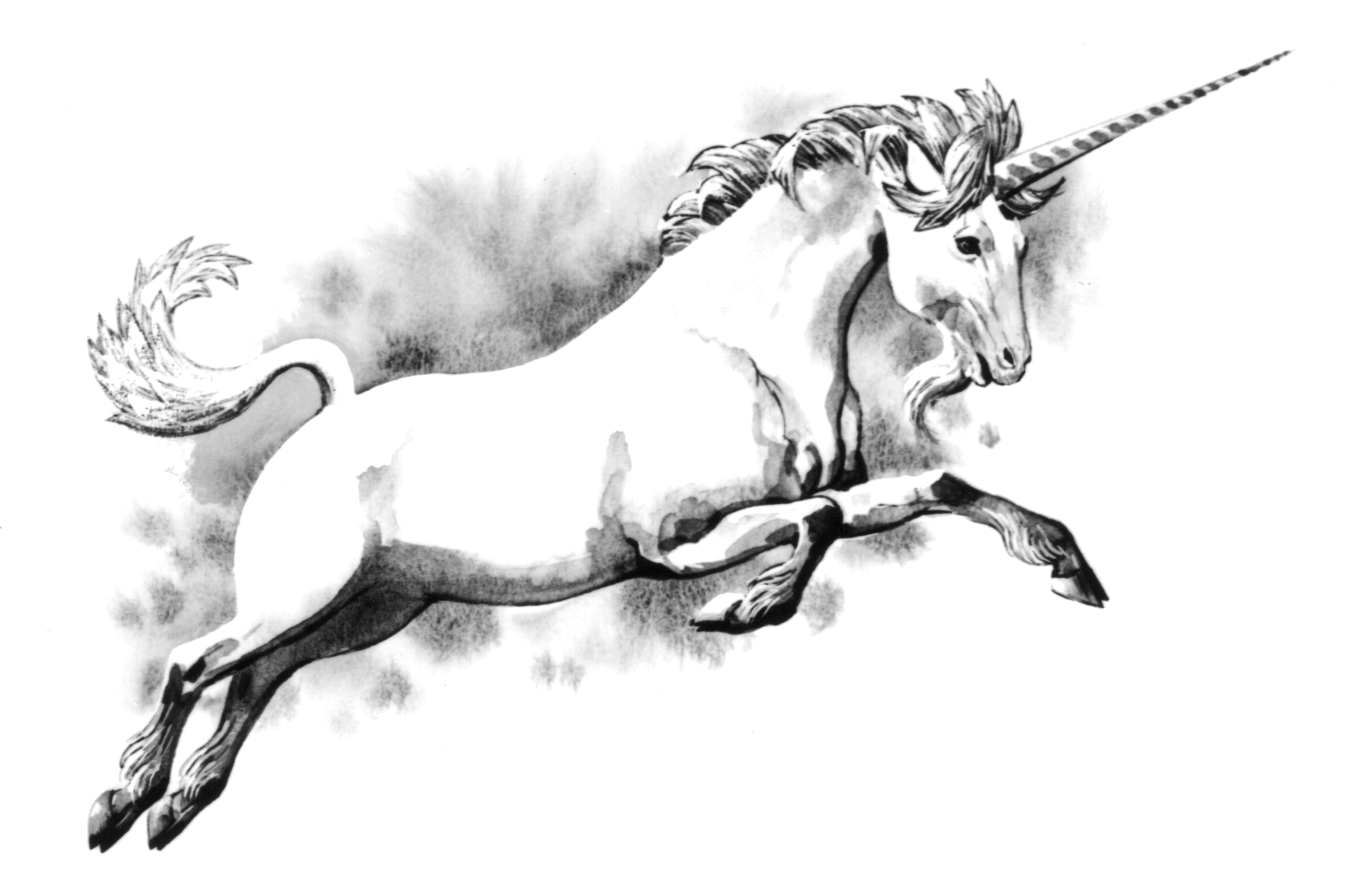 Color the Magic: A Unicorn Coloring Pack