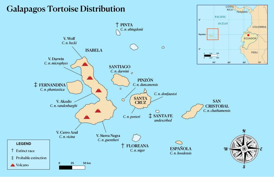 Map showing the Galápagos Islands where different tortoises live