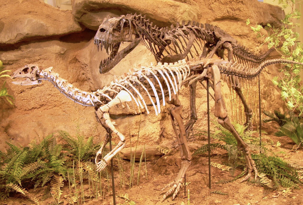 Our Favorite Dinosaur Exhibits in the USA