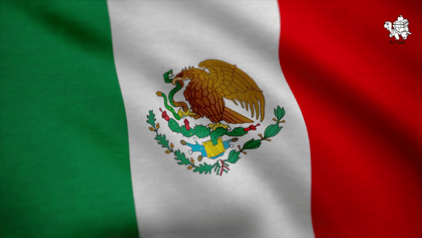 Teacher’s Guide to Cinco de Mayo