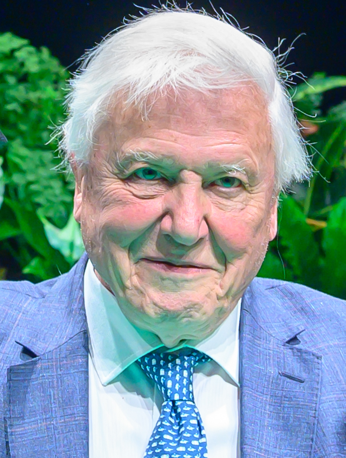 David Attenborough, 2019