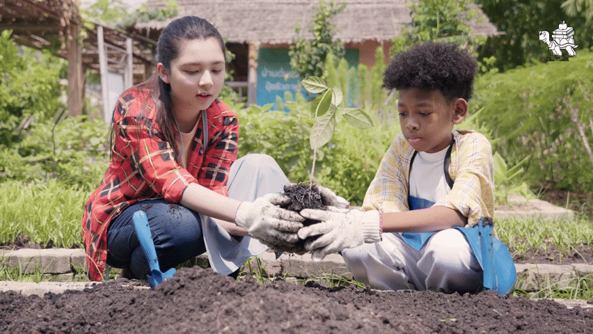 Garden Workshop: Seeds, Soil & Sustainability