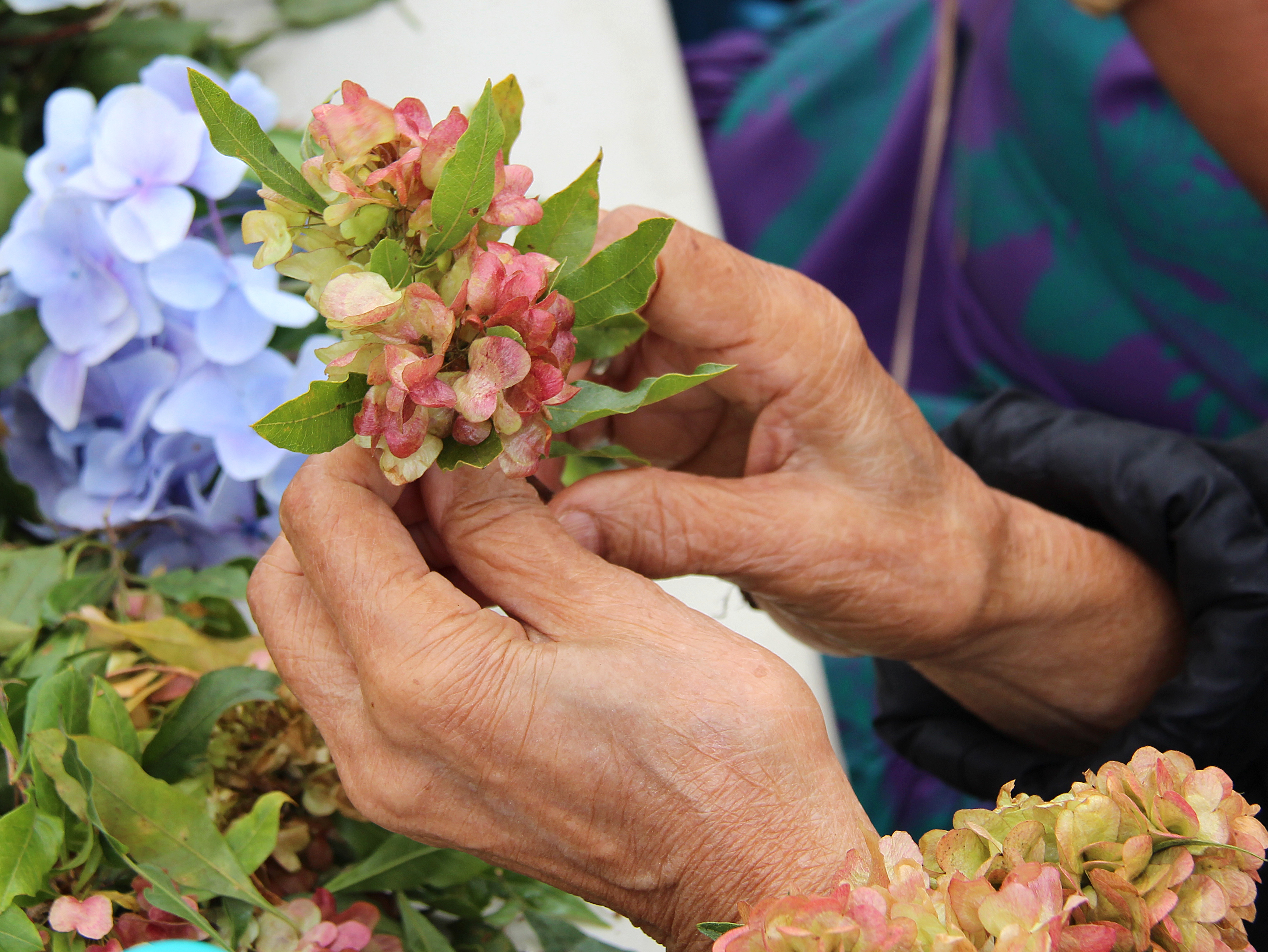 Lei Day Pattern Builder