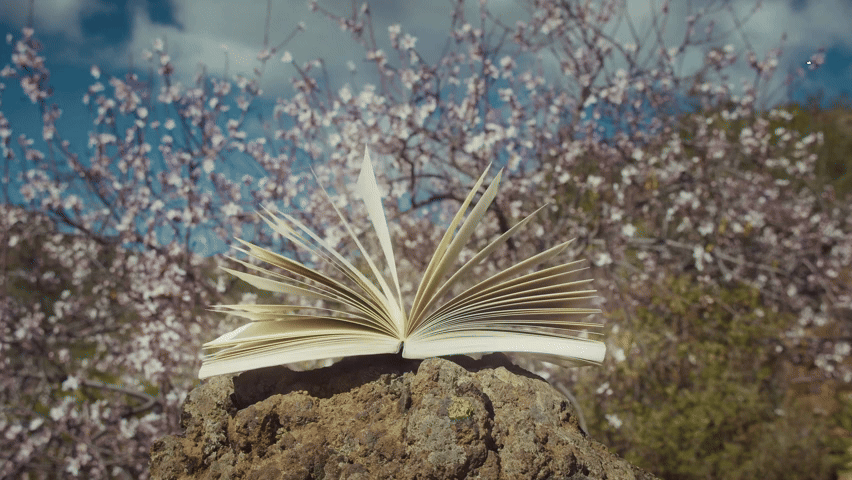 The Perfect Poetry Month TEJ Reader to Welcome Spring!