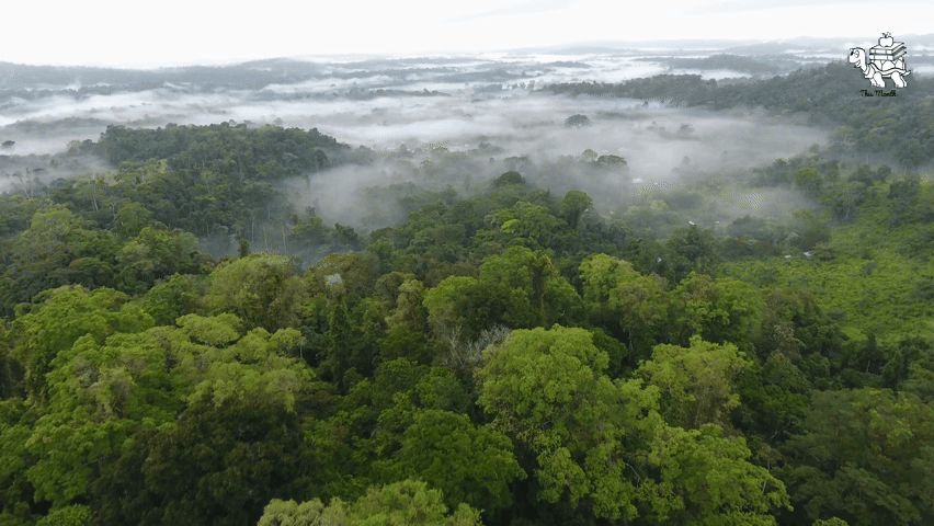 World Environment Day Crossword Puzzle